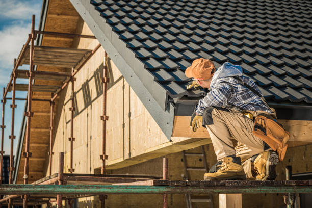 Best Metal Roofing Installation  in Palmview, TX