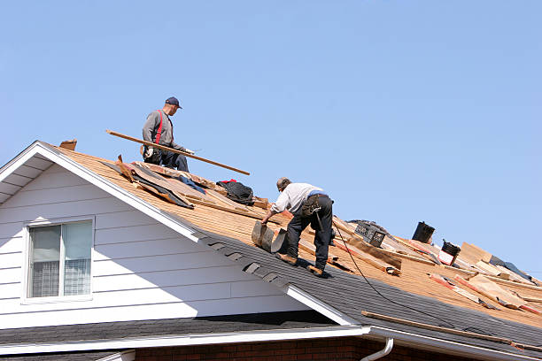 Best Roof Maintenance and Cleaning  in Palmview, TX