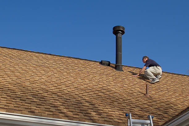 Best Chimney Flashing Repair  in Palmview, TX
